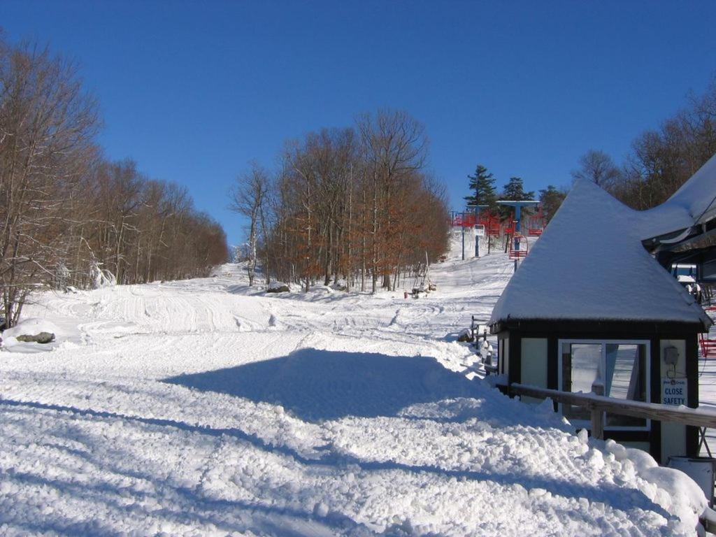 Saw Creek Cabin - Regent Hilltop Bushkill Kültér fotó