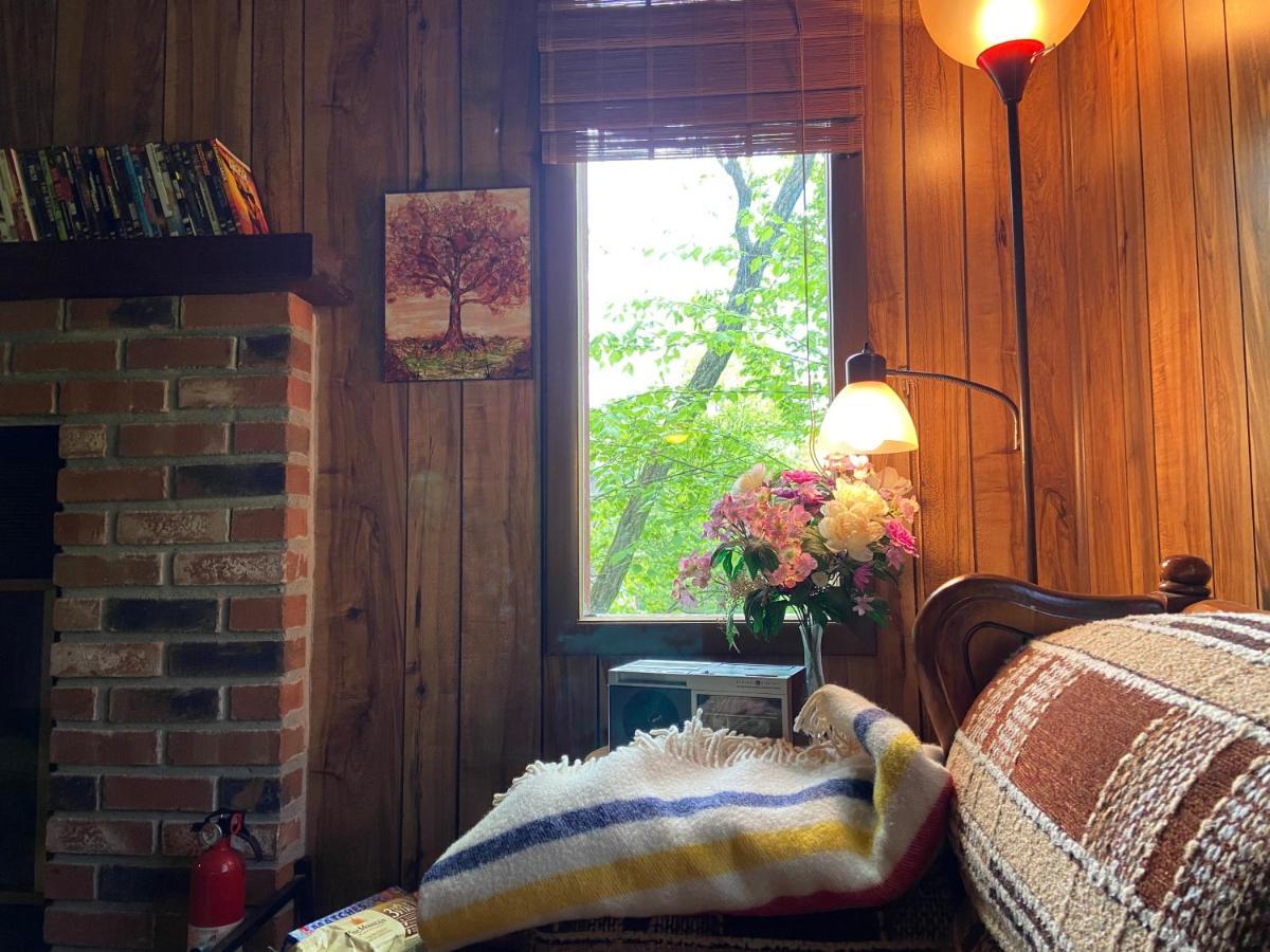 Saw Creek Cabin - Regent Hilltop Bushkill Kültér fotó