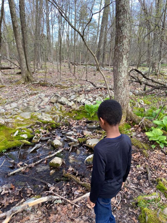 Saw Creek Cabin - Regent Hilltop Bushkill Kültér fotó