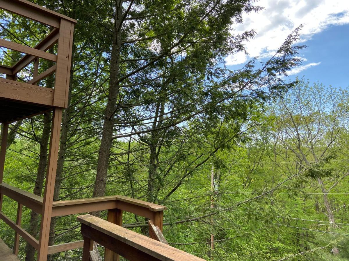 Saw Creek Cabin - Regent Hilltop Bushkill Kültér fotó