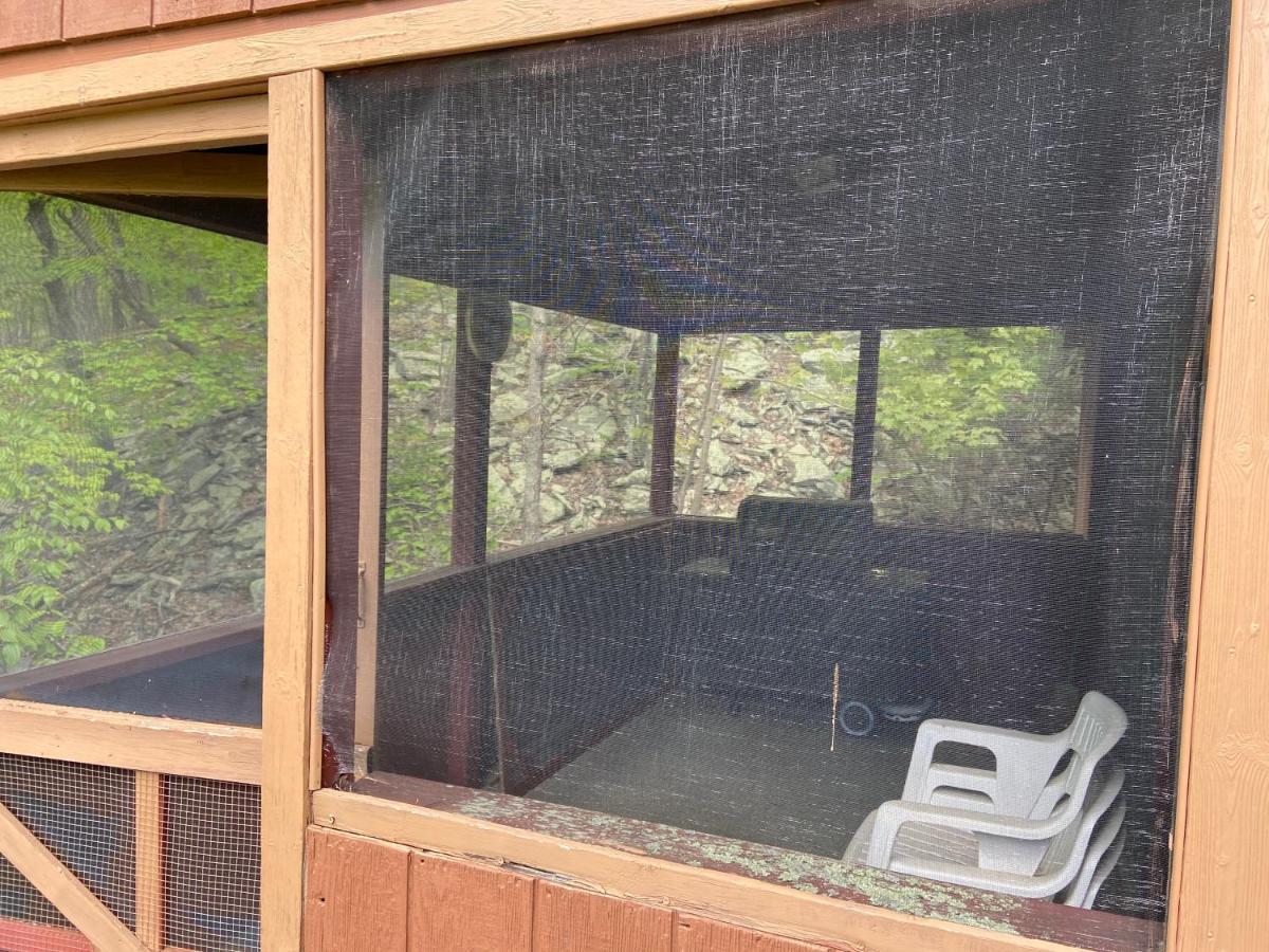 Saw Creek Cabin - Regent Hilltop Bushkill Kültér fotó